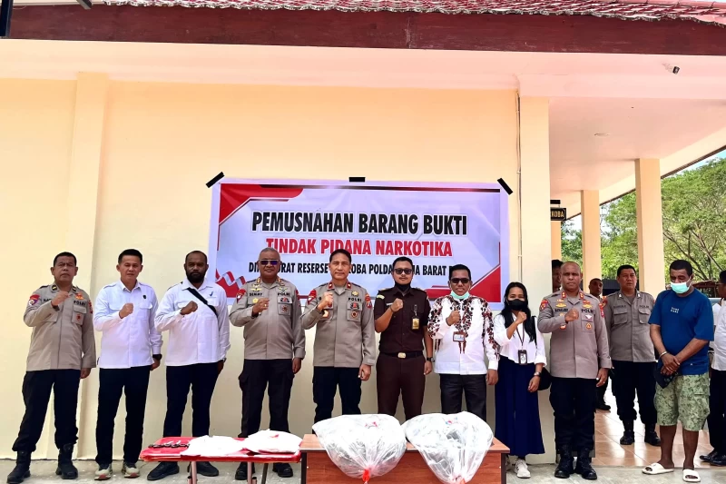 Polda Papua Barat Daya Musnahkan Hampir 8 Kilogram Ganja