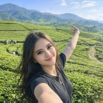 36c5129b-f0c0-46bd-85d1-5a40bf393dad