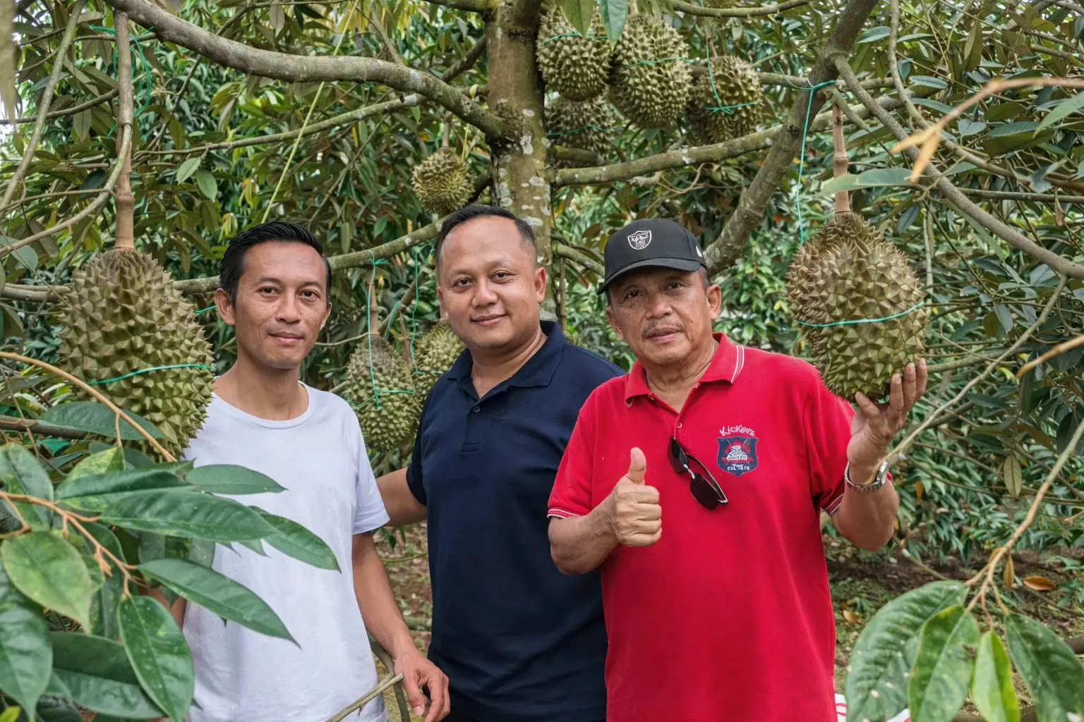 WhatsApp Image 2026-04-15 at 17.42.59