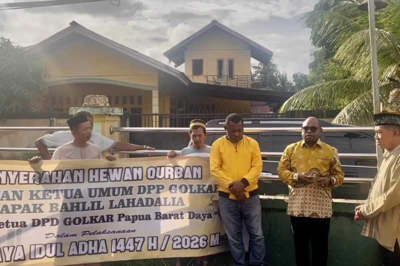 Golkar Papua Barat Daya Salurkan Sapi Kurban Bantuan Ketum Bahlil Lahadalia