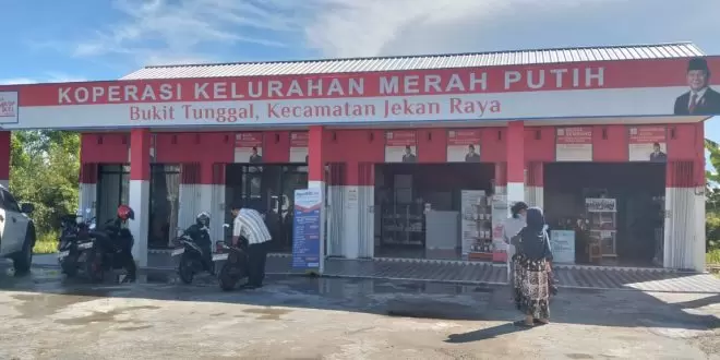 Konsultan Koperasi Merah Putih