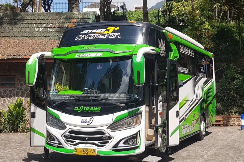 sewa-bus-medim-14