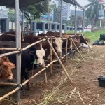 kabarbaru.co