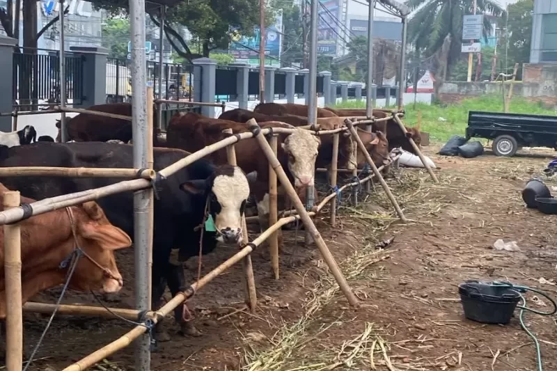 kabarbaru.co