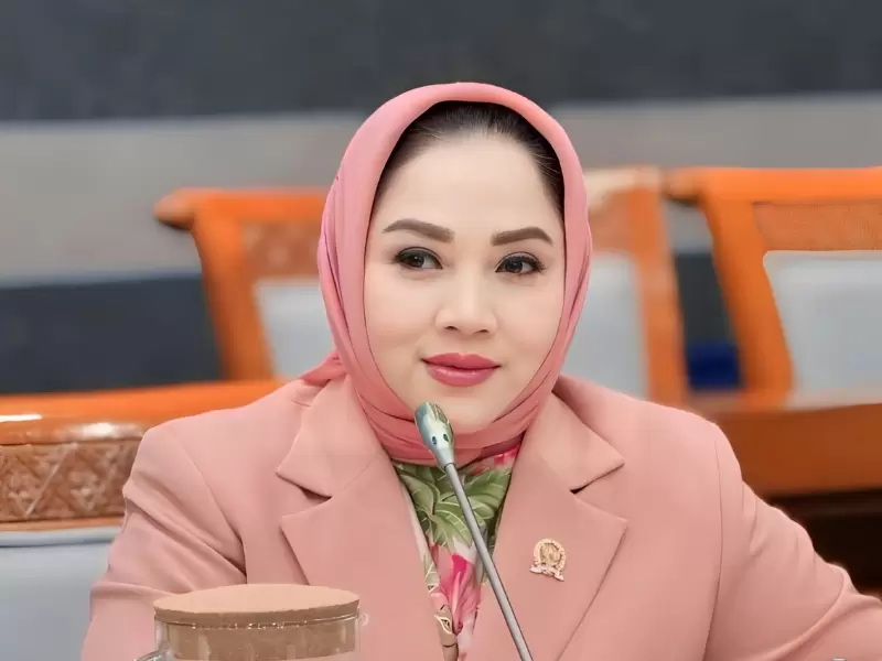 Wardatul Asriah, Anggota DPR RI Fraksi Gerindra (Dok. Istimewa)
