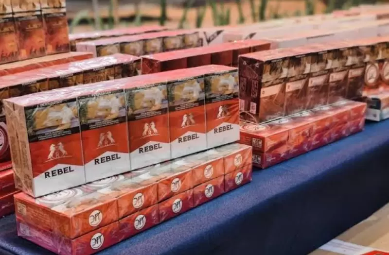 Rokok Ilegal yang Berhasil Diamankan Bea Cukai (Dok. Istimewa)