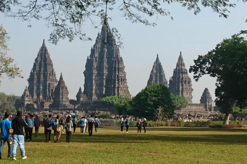 tomjuniorwalker-candi-5241618_1920