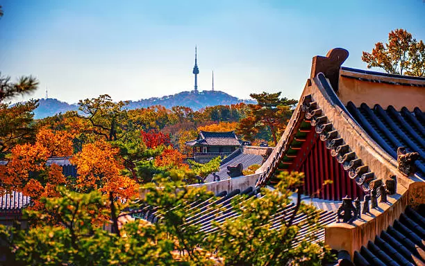 Tour Korea Selatan