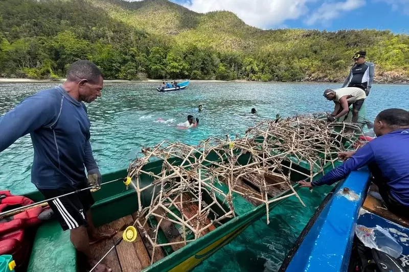 Kolaborasi PT KSM Rehabilitasi Pesisir dan Laut Pulau Kawei