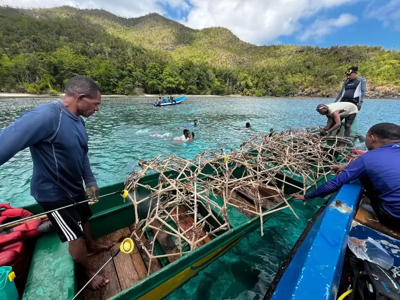 Kolaborasi PT KSM Rehabilitasi Pesisir dan Laut Pulau Kawei